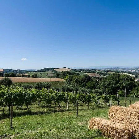 Conero Panorama